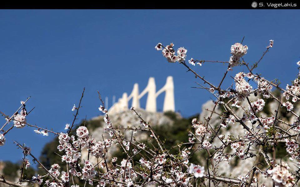 Hotel Fotini Mytikas  Bagian luar foto